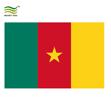The vni bit is set to 1 for a valid vni. Dura Poly 3x5 Feet Country Cameroon National Flag Buy Cameroon Flag Cameroon Country Flag Cameroon National Flag Product On Alibaba Com