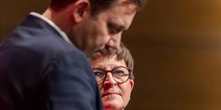 Sie entkam dem Tod zum dritten Mal: 150 Wespenstiche