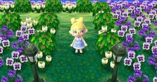Outdoor Bush Lined Pathway W Twin Lightposts Animal Crossing New Leaf Pictures