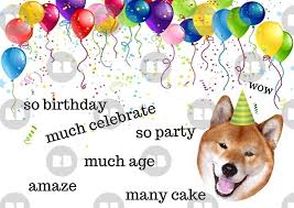 Shiba Inu Doge Meme Birthday Card Dog Birthday Card Internet Meme Birthday Card Meme Greeting Cards Greeting Card By Willow Days Happy Birthday Quotes Funny Party Quotes Funny Happy Birthday Quotes