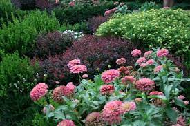An order for ombre ninebark hedge might start with the deepest color planted farthest from your house. Fifty Shades Of Foliage No Need To Rely On Blooms To Bring Color To The Garden
