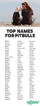 Pin On Dog Names