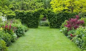 You can also make tidying your lawn's fringe an easy experience with our long handle edging shears, or create a perfectly precise lawn with the help of grass shears. Alan Titchmarsh Five Steps Guide For A Manicured Lawn Express Co Uk