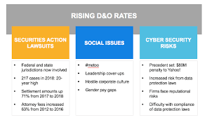 Often called d&o) is liability insurance payable to the directors and officers of a company, or to the organization(s) itself, as indemnification (reimbursement) for losses or advancement of defense costs in the event an insured suffers such a loss as a result of a legal action brought for al. Three Rising Trends In D O Insurance
