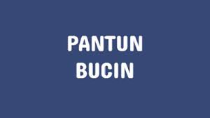 Pin Di Blog