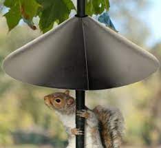 Buy squirrel baffle and get the best deals at the lowest prices on ebay! Best Wrap Around Squirrel Baffle For Feeders Houses