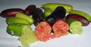 Check spelling or type a new query. Australian Finger Lime Sunnyvale Garden