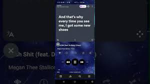 Megan Thee Stallion Cash Shit Feat Da Baby Super Clean Lyrics Clean Youtube
