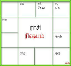 Generate Birth Horoscope Tamil Jathagam Tamil Birth