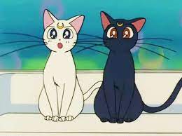 September 15th, 2019 by jessi larson. Top 20 Cute Anime Cats Myanimelist Net