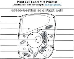 We did not find results for: Animal Cell Diagram Quizlet