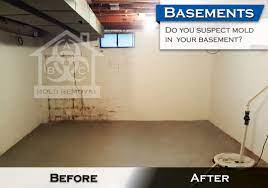A hepa air cleaner will grab any residual spores and other allergens and filter them out of the air. Basement Mold Removal Abc Mold Removal