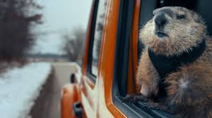 On awaking the 'following' day he discovers that it's groundhog day again, and again, and again. Jeep Coronavirus Ad Brings Back Bill Murray S Groundhog Day Character Again