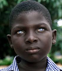 Wanda Pickens (darip9)