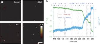 No 309 episodul 17 online gratis subtitrat in romana. Single Molecule Kinetics Of Pore Assembly By The Membrane Attack Complex Nature Communications
