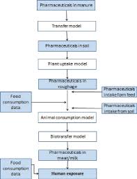 flow chart of the chain model to estimate human exposure to