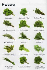 ħwawar Herbs Maltese Cooking Herbs Herbs Food Flashcards