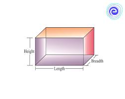 Volume is an important gauge of market sentiment and trends for investors: Volume Of Cuboid Definition Formula Solved Examples