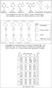 chemistry formula chart for class 11 bedowntowndaytona com