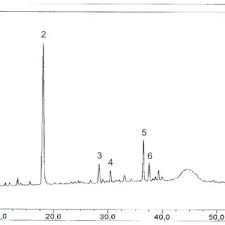 Karl Eichner's research works