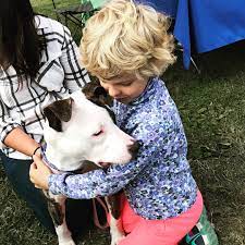 No posts selling or giving away family pets please. Spotty Dog Rescue Home