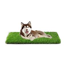 Maybe you would like to learn more about one of these? Buy Artificial Grass Professional Dog Grass Mat Grass Pee Pad For Pet Dog Potty Training Rug With Drainage Holes Easy To Clean Fake Turf For Indoor Outdoor Patio Decor Online