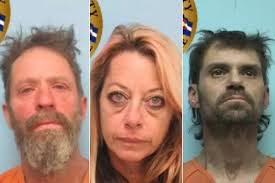 Montrose Most Wanted: Drugs, Distribution, Possession, Auto Theft