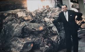 Wood Veneers|Burls|Curls|Figured Veneers|FSC|Engineered Veneers|PEFC