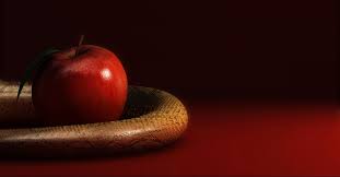 An inquiry into the legal history of american marijuana prohibition on jstor. Why Did God Create The Forbidden Fruit Meaning Of Genesis 2
