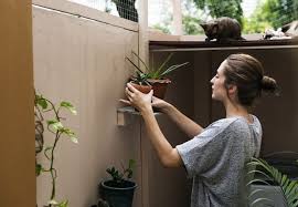 3 jenis tanaman hias yang cocok ada di dalam rumah. 5 Jenis Tanaman Hias Ini Bisa Membantu Mengusir Racun Dari Dalam Rumah Lho Facetofeet Com