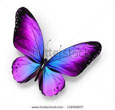 Violet Blue Butterfly Isolated On White Purple Butterfly Tattoo Butterfly Tattoo Butterfly Photos