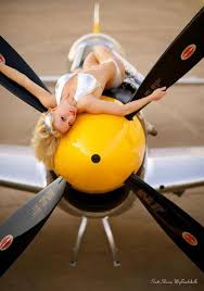 The bee, of course, flies anyway. Aviation Pin Up Pin Board Aviones Aviones Militares Aviones Comerciales