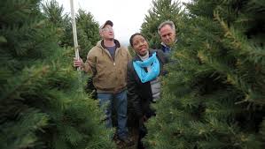 Maybe you would like to learn more about one of these? Where To Cut Down A Fresh Christmas Tree In Every County In New Jersey