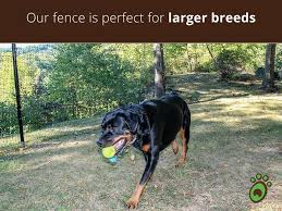 The best invisible dog fences can be a lifesaver when it comes to properties that are difficult to fence off, or dogs that are particularly good escape artists. Pet Playgrounds Diy Dog Fence Kits Dog Fence Kits And Installation