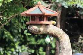 Biete hier ein futterhaus für vögel an. Vogelfutterhaus Vogelhaus Online Kaufen Vogelfutterhaus Nistkasten