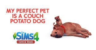Check spelling or type a new query. I Got A Couch Potato Dog