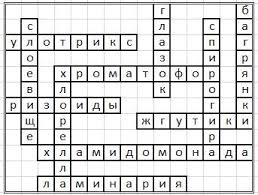пятый класс составить кроссворд по биологии 5 класс с вопросами и ответами Krossvord Vodorosli