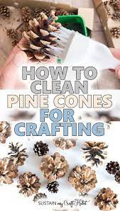 How To Clean Pine Cones For Crafts (3 Easy Steps!) – Sustain My Craft Habit