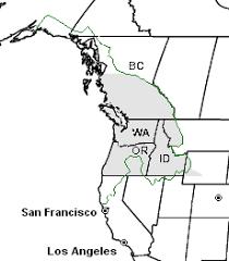 Check spelling or type a new query. Pacific Northwest Wikipedia