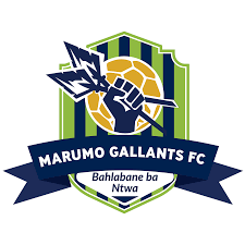 Fichier:Marumo Gallants FC logo.png — Wikipédia