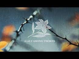 But he became a lily among thorns. A Lily Among Thorns With Jentezen Franklin Youtube