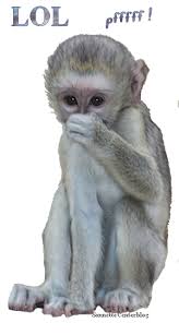 Https Encrypted Tbn0 Gstatic Com Images Q Tbn 3aand9gcryazmy4tzhgyyrfhr4lg2mahxnpsr2vpvztw Usqp Cau