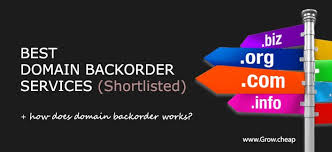 Best Domain Backorder Service How Does It Work