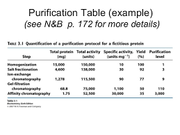 Protein Purification Lecture