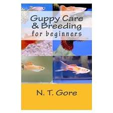 These factors include the color of the guppy fish, the shape. The Complete Guppy Care Guide 2021 Breeding Tank Requirements Fancy Varieties