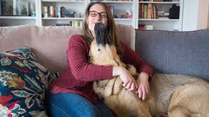 All one needs to do is to download the app to their smartphone or to visit the claims portal via the internet. For Injured Paws And Claws Insurance May Come In Handy For Some Pets Ctv News