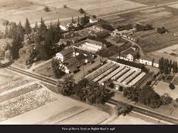 An Aerial View Of The Original Harris Seeds Facility On Buffalo Road Rochester Ny 1948 Flower Seeds Aerial View Seed Company