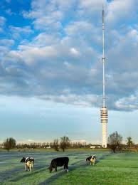 3400 aa ijsselstein afleveradres kampenhof 1 3401 bh ijsselstein. Datacenter Ijsselstein Cellnex Netherlands