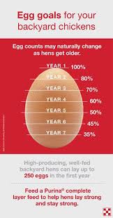 In 2021, there are 52 weeks. How Long Do Chickens Lay Eggs Purina Animal Nutrition