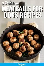 Can Dogs Eat Meatballs 5 Meatballs For Dogs Recipes In 2020 Healthy Dog Food Recipes Raw Dog Food Recipes Dog Food Recipes